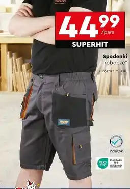Biedronka Spodnie robocze m-xxl Niteo Tools oferta