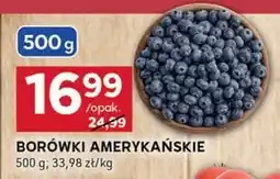 Stokrotka Optima Borówki amerykańskie oferta