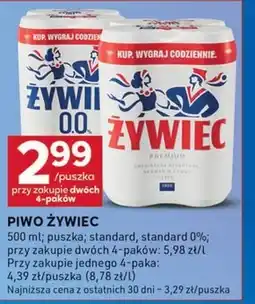 Stokrotka Optima Piwo Żywiec oferta