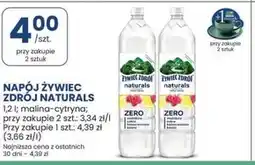Stokrotka Optima Napój Żywiec oferta