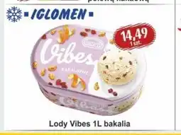 Społem Lody Koral oferta