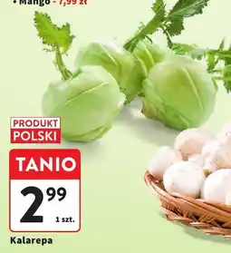 Intermarche Kalarepa polska, 1 szt. Intermarche oferta