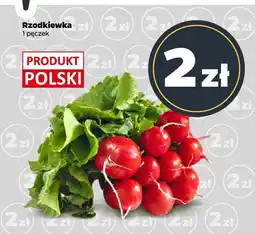 Netto Rzodkiewka Netto oferta