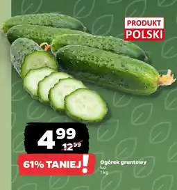 Netto Ogórek gruntowy polski 1 kg Netto oferta