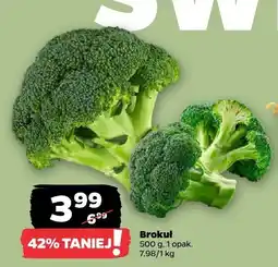 Netto Brokuł Netto oferta