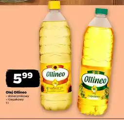 Netto Olej rzepakowy Ollineo oferta