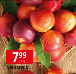 E.Leclerc Nektarynki Leclerc oferta
