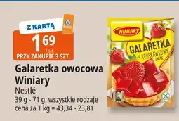 E.Leclerc Galaretka owocowa Winiary Nestle oferta