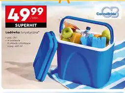 Biedronka Lodówka turystyczna oferta