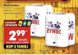 Delikatesy Centrum Piwo Żywiec oferta