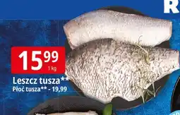 E.Leclerc Płoć tusza oferta