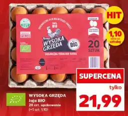Kaufland Jajka BIO Wysoka Grzęda oferta