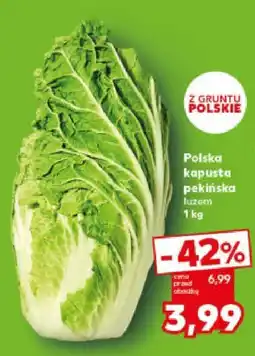 Kaufland Kapusta pekińska polska Kaufland oferta