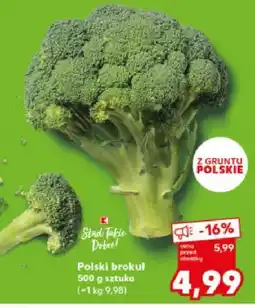 Kaufland Brokuł polski Kaufland oferta