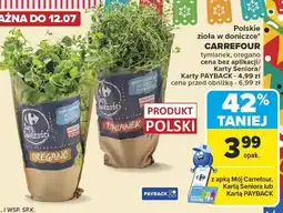 Carrefour Market Zioła tymianek, oregano Carrefour oferta