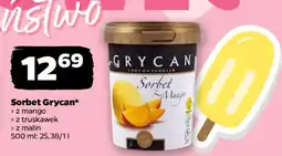 Netto Sorbet Grycan oferta
