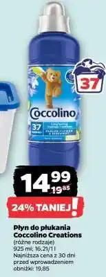 Netto Płyn do płukania Coccolino Creations oferta
