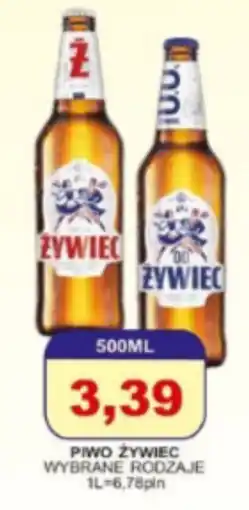 Primus PIWO ŻYWIEC oferta