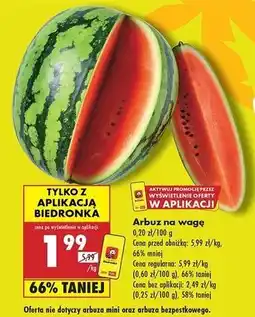 Biedronka Arbuz oferta