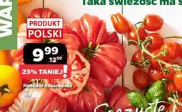 Netto Pomidory rosamunda oferta