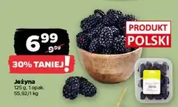 Netto Jeżyny polska oferta