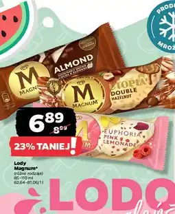 Netto Lód pink Algida Magnum oferta