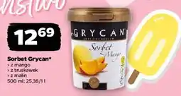 Netto Sorbet z malin Grycan oferta