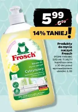 Netto Balsam do naczyń cytrynowy Frosch oferta