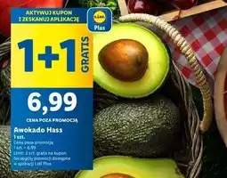 Lidl Awokado Hass 1+1 GRATIS Lidl oferta