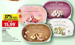 Lidl Lody Carte D'Or, różne rodzaje oferta