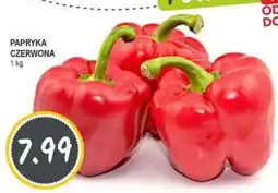 Słoneczko PAPRYKA CZERWONA oferta