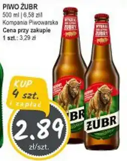 Słoneczko PIWO ZUBR oferta
