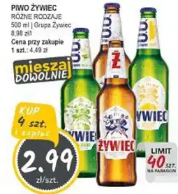 Słoneczko PIWO ŻYWIEC oferta