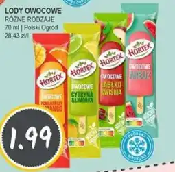 Słoneczko LODY OWOCOWE RÓŻNE RODZAJE oferta