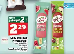 Topaz Lody owocowe Hortex oferta