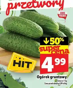 Topaz Warzywa ogórek gruntowy TOPAZ oferta