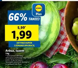 Lidl Arbuz Lidl oferta