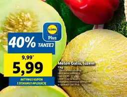 Lidl Melon Galia Lidl oferta
