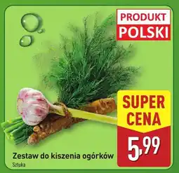 ALDI Zestaw do kiszenia ogórków Aldi oferta