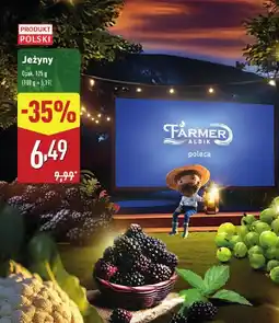 ALDI Jeżyny 1 opak. Aldi oferta