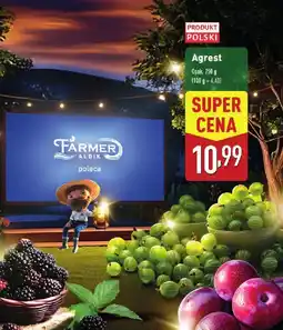 ALDI Agrest 1 opak. Aldi oferta