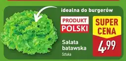 ALDI Sałata batawska Aldi oferta