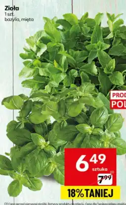 Delikatesy Centrum Zioła bazylia, mięta Delikatesy Centrum oferta