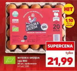 Kaufland WYSOKA GRZĘDA Jaja BIO oferta