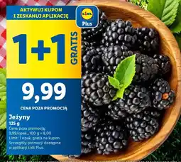 Lidl Jeżyny 125 g 1+1 GRATIS Lidl oferta