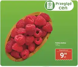 Biedronka Malina polska Biedronka oferta