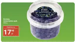 Biedronka Borówka amerykańska Biedronka oferta