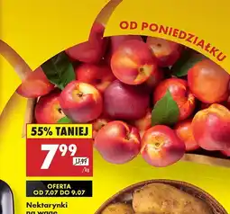 Biedronka Nektarynki Biedronka oferta