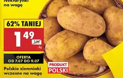 Biedronka Ziemniaki wczesne Biedronka oferta
