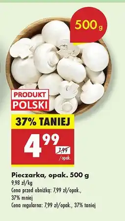 Biedronka Pieczarka Biedronka oferta